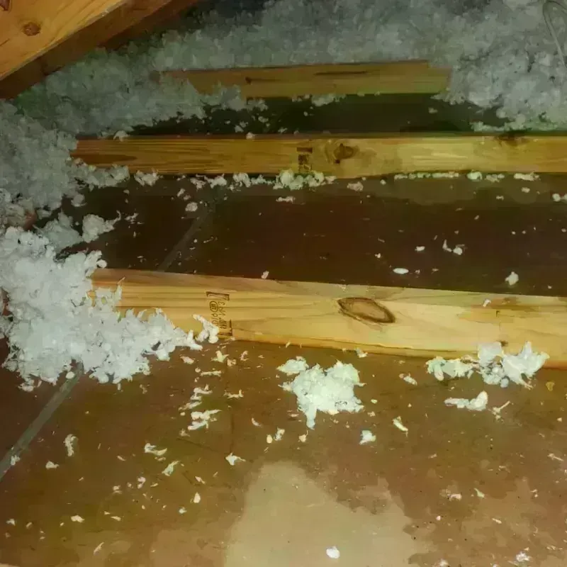 Attic Water Damage in Louisville, CO