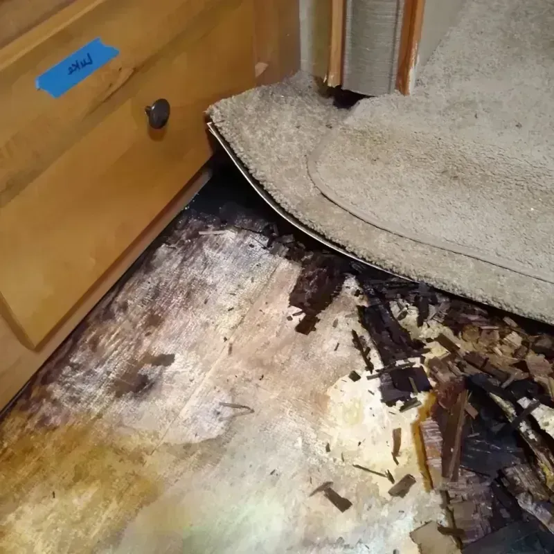 Wood Floor Water Damage in Louisville, CO